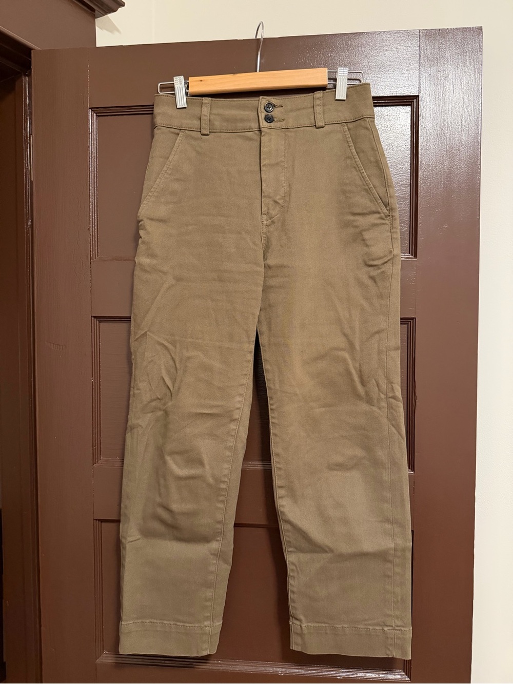 Everlane Straight-Leg Chinos in Olive